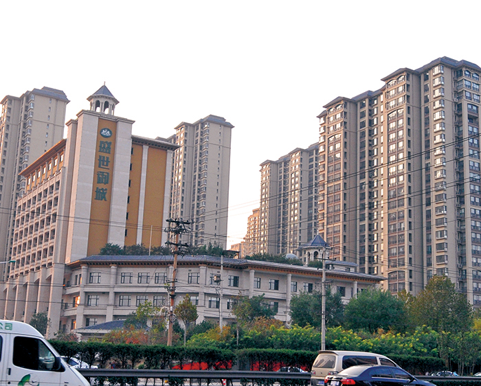 ʢ������